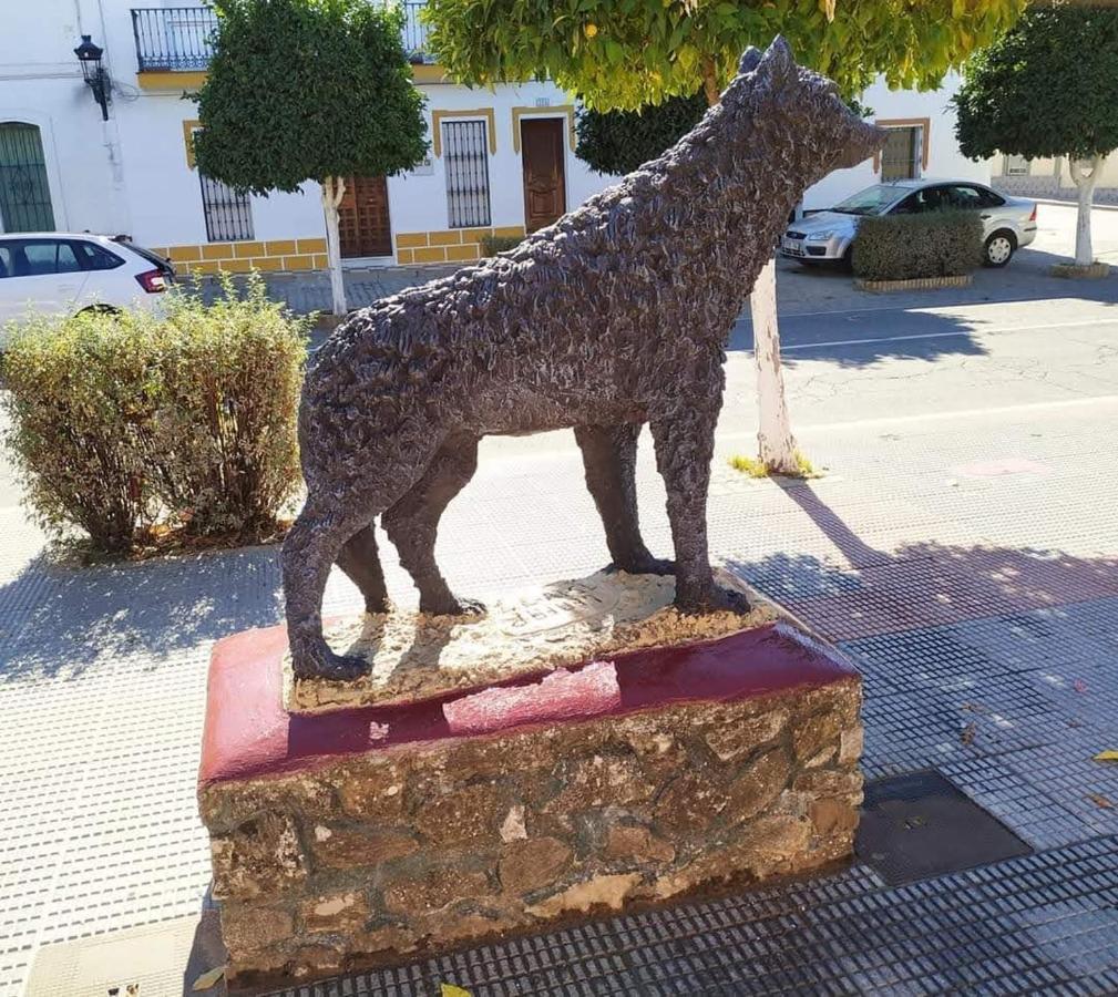 Alojamiento Rural An Ca La Abuela Pilar El Real de la Jara Exterior foto
