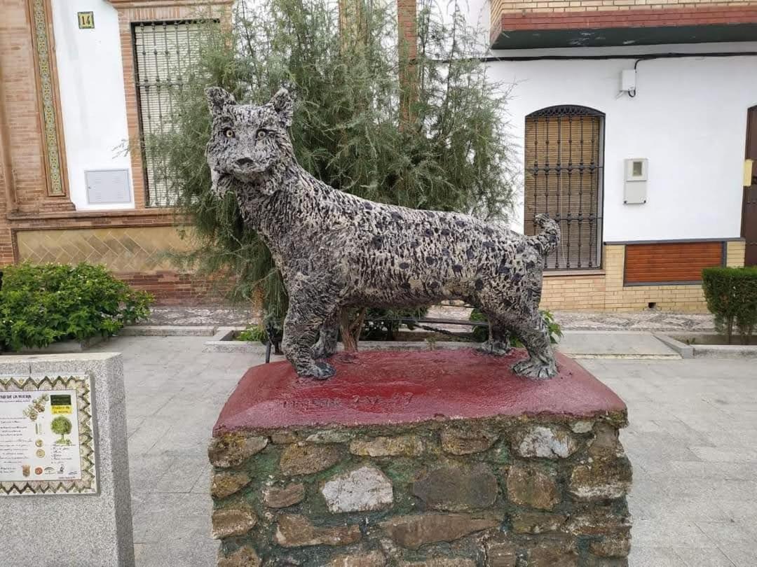 Alojamiento Rural An Ca La Abuela Pilar El Real de la Jara Exterior foto